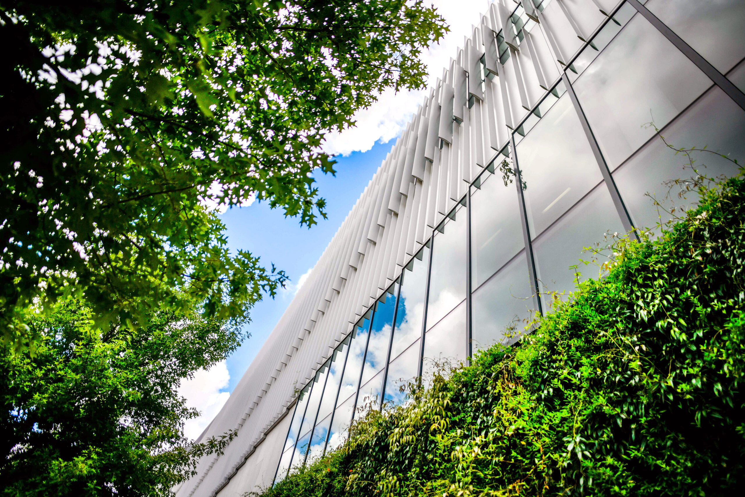 Hunt Library is framed by trees